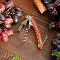 Тирбушон Deejo Waiter's knife, Coral wood