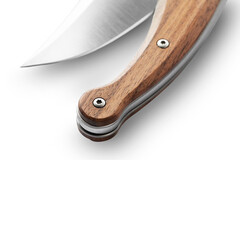 Джобен нож LionSteel Gitano Santos Wood