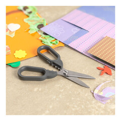 Кухненска ножица Kuhn Rikon Kitchen Shears Compact