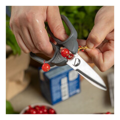 Кухненска ножица Kuhn Rikon Kitchen Shears Compact