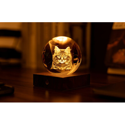 Нощна лампа Gingko Amber Crystal Light Longhair Tabby Cat
