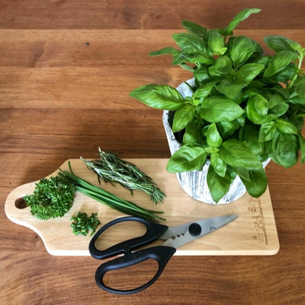 Кухненска ножица moHA! HERBY