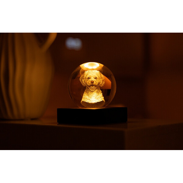 Нощна лампа Gingko Amber Crystal Light Doodle Dog