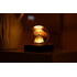 Нощна лампа Gingko Amber Crystal Light Doodle Dog