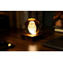 Нощна лампа Gingko Amber Crystal Light Snowy Owl